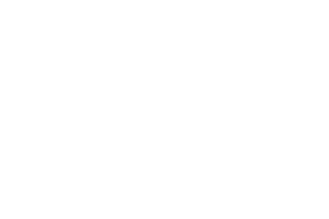 New Forest District Council