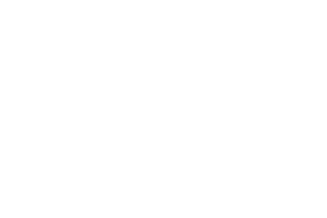 New Forest National Park